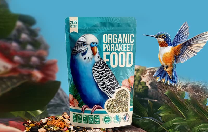 Stand-Up Pouches